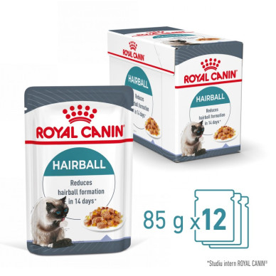 Royal Canin Hairball Care – Hrană Umedă Premium pentru Pisici, în Gelatină, pentru Reducerea Ghemotoacelor de Păr, 85 g